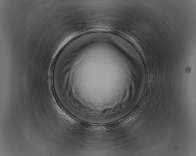 X0000088861243200706291510