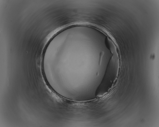 X0000088861245200706291510