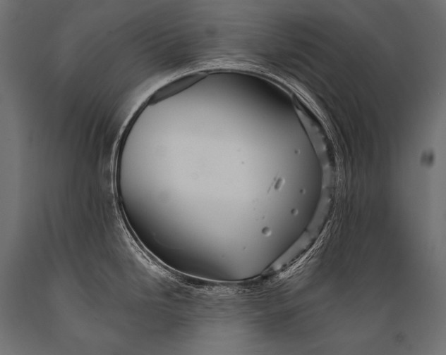 X0000088861246200706291510