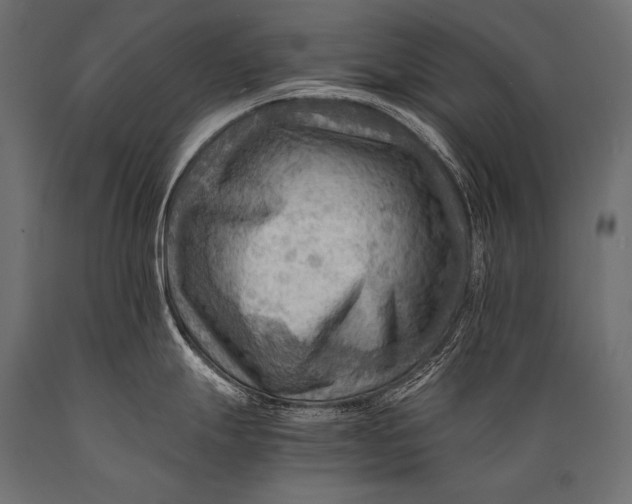 X0000088861247200706291510