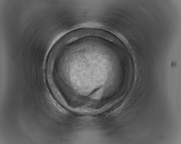 X0000088861248200706291510