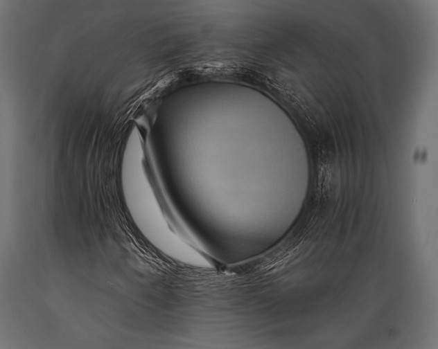 X0000088861250200706291510