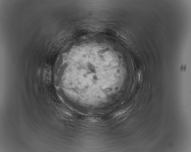 X0000088861251200706291510