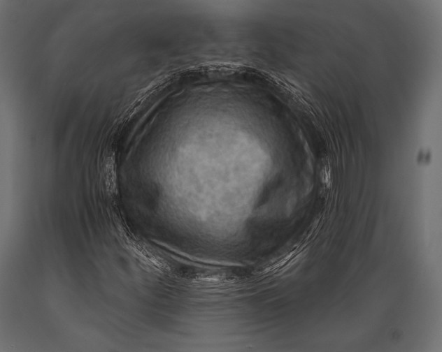 X0000088861252200706291510