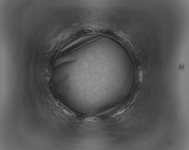 X0000088861253200706291510