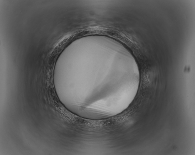 X0000088861254200706291510