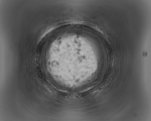 X0000088861255200706291510