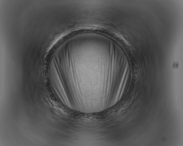 X0000088861256200706291510