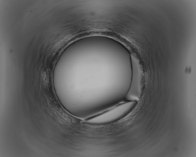 X0000088861257200706291510