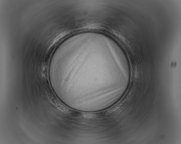 X0000088861258200706291510