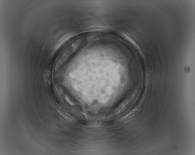 X0000088861259200706291509