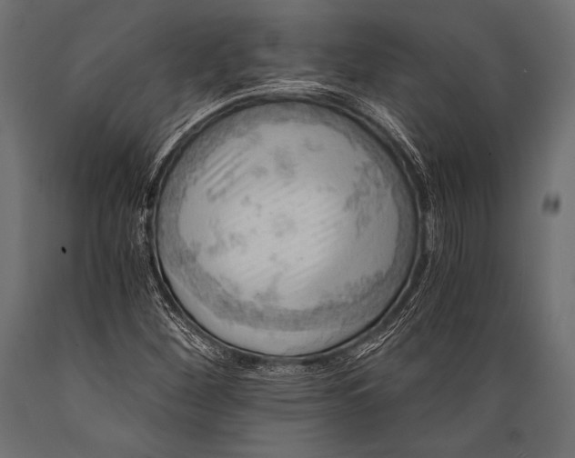 X0000088861260200706291509