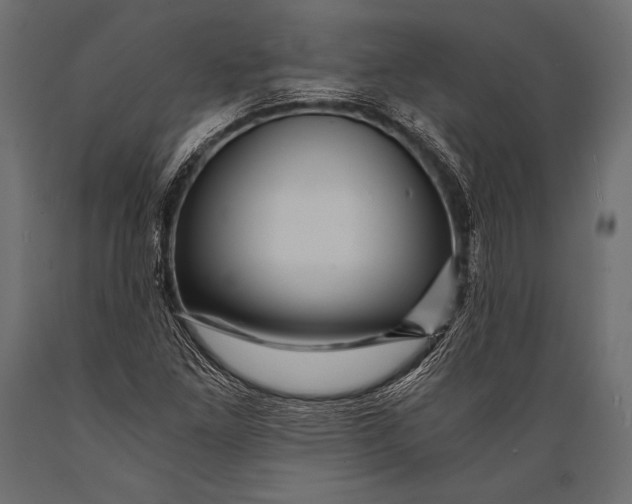 X0000088861261200706291509
