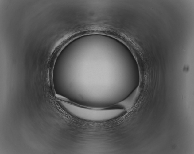 X0000088861262200706291509