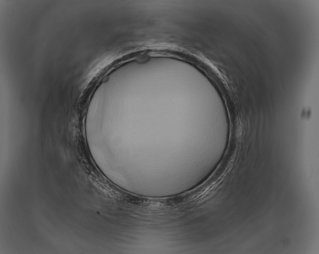 X0000088861263200706291509