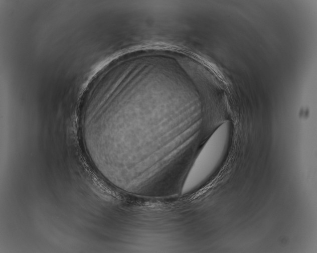X0000088861264200706291509