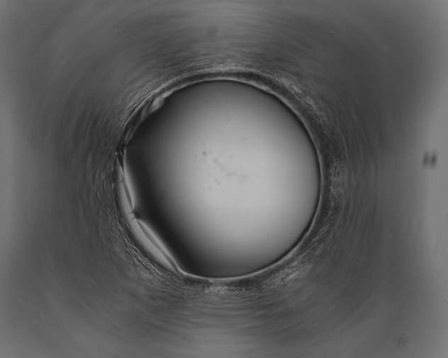 X0000088861265200706291509