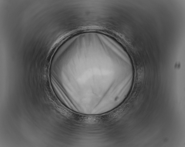 X0000088861266200706291509
