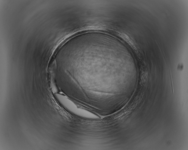 X0000088861268200706291509