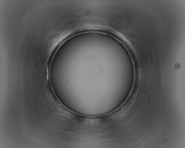 X0000088861269200706291509