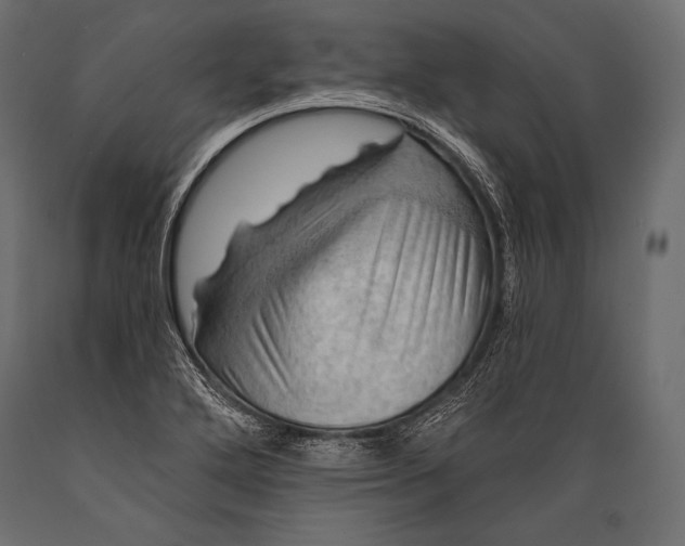 X0000088861272200706291509