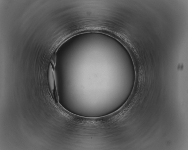 X0000088861273200706291509