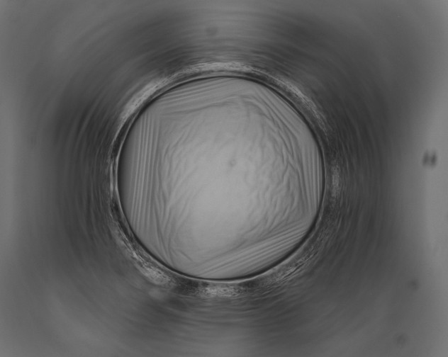 X0000088861274200706291509