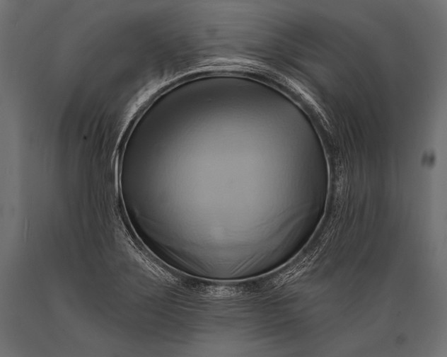 X0000088861275200706291509