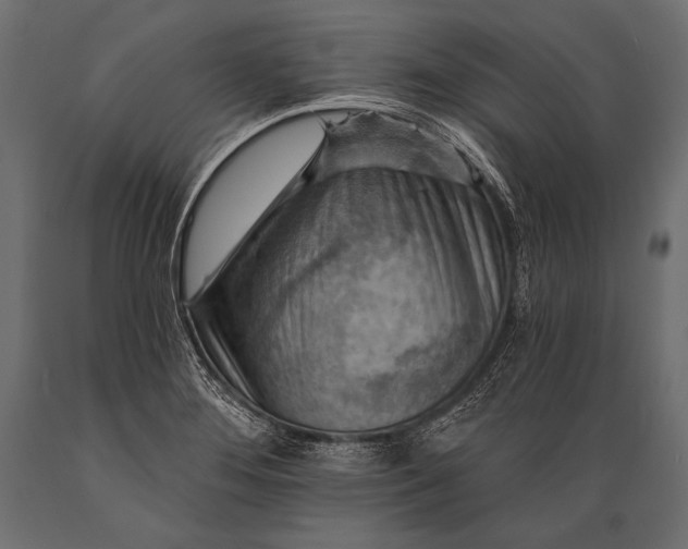 X0000088861276200706291509