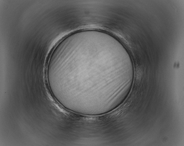 X0000088861278200706291509