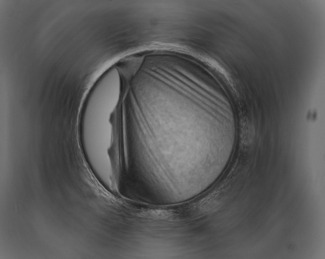 X0000088861280200706291509