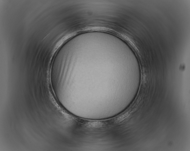 X0000088861282200706291509