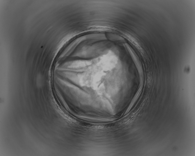X0000088861283200706291509