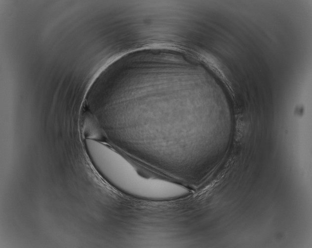 X0000088861284200706291509
