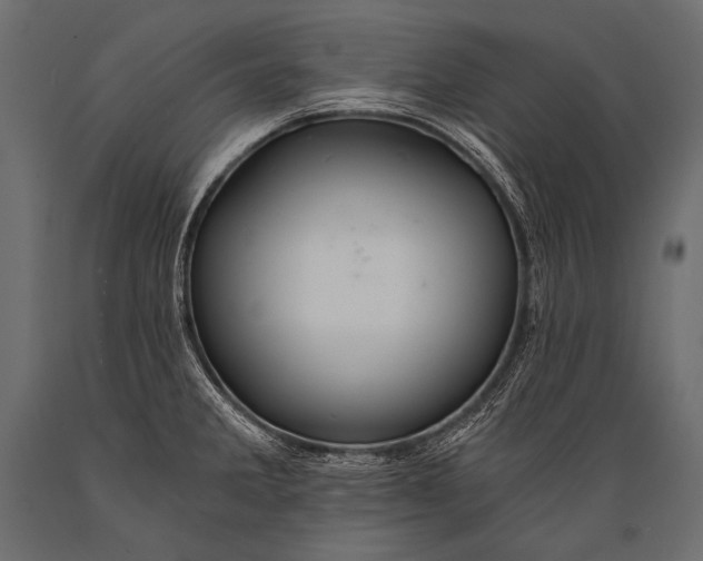 X0000088861285200706291509