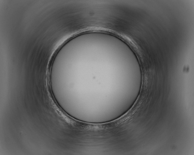 X0000088861286200706291509