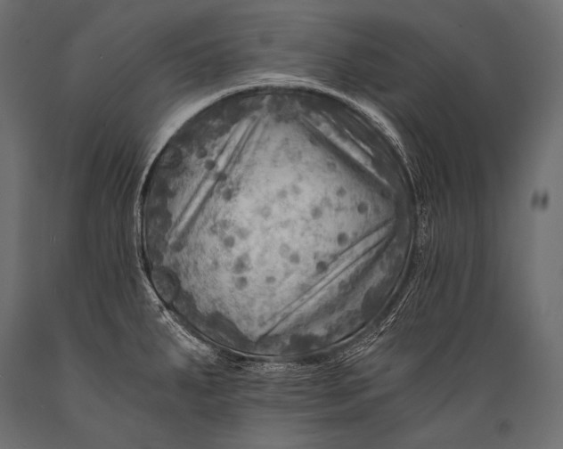 X0000088861287200706291509