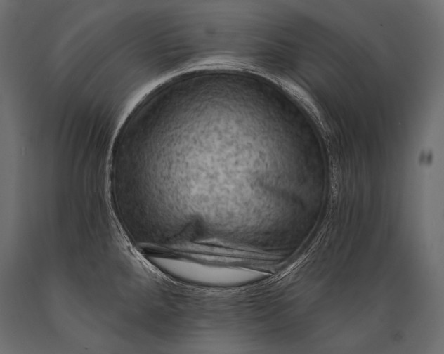 X0000088861288200706291509