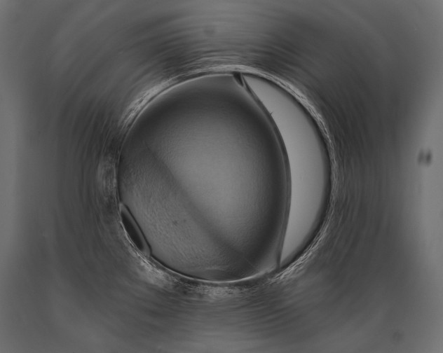 X0000088861289200706291509
