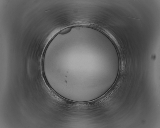 X0000088861291200706291509