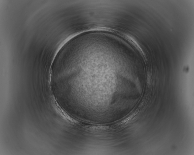 X0000088861292200706291509