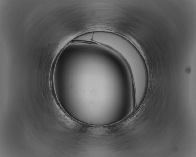 X0000088861293200706291509
