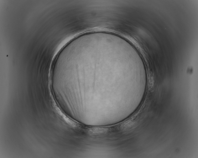 X0000088861294200706291509