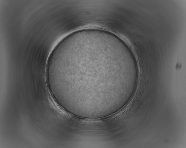 X0000088861296200706291509