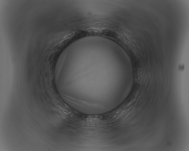 X0000088861297200706291508
