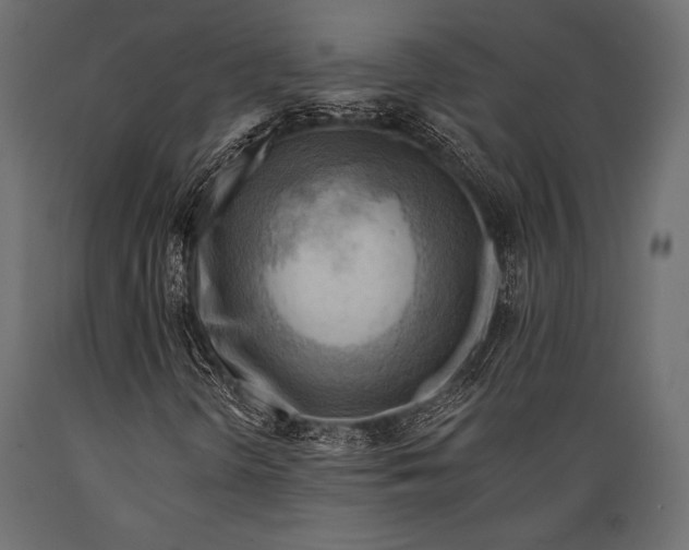X0000088861298200706291508