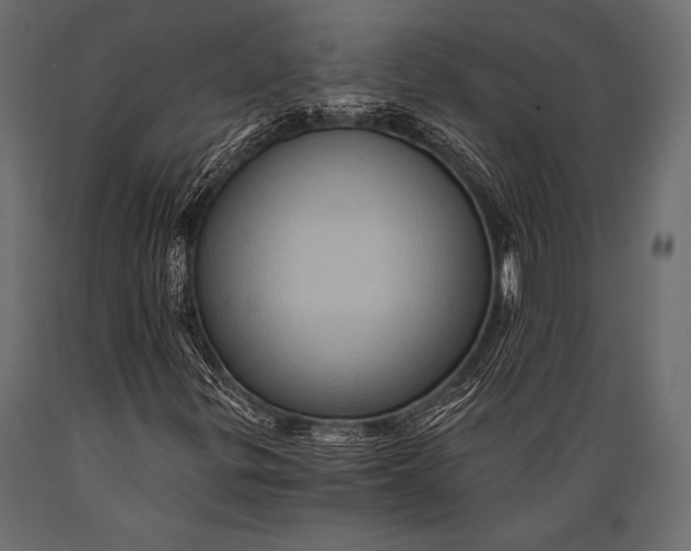 X0000088861299200706291508