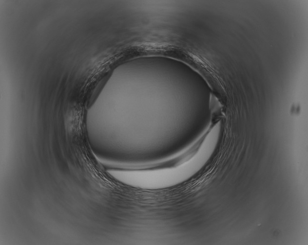 X0000088861300200706291508