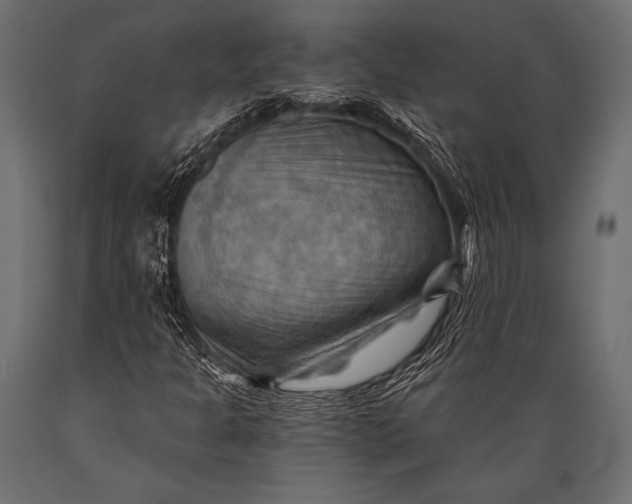 X0000088861301200706291508