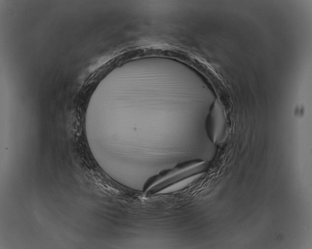 X0000088861303200706291508